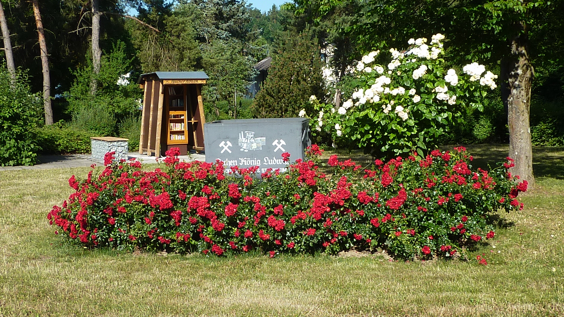 Rosenpracht am Stockheimer Rathaus