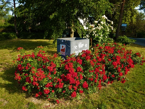 Farbenfroher Beitrag der Stockheimer Gartenbauer vor dem Stockheimer Rathaus